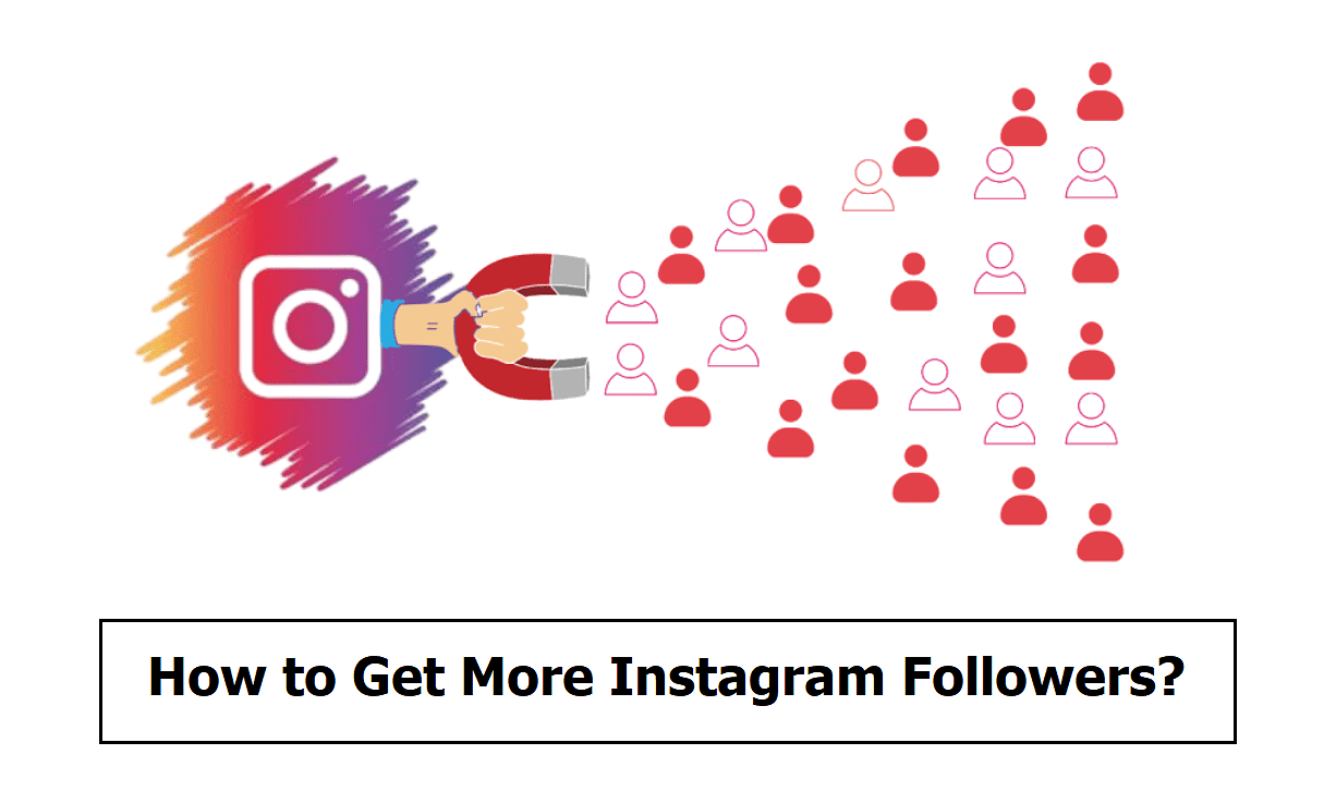 How to Get More Instagram Followers in 2024?