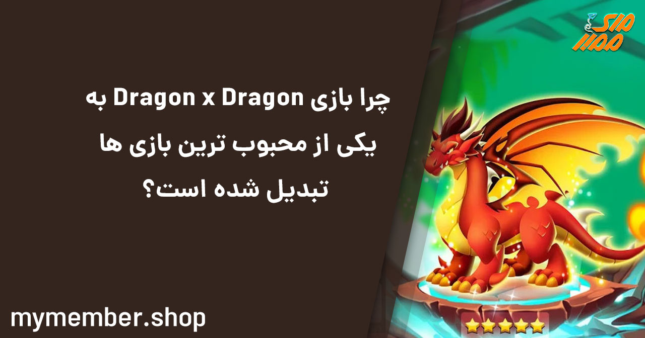 چرا بازی Dragon x Dragon به یکی از محبوب‌ترین بازی‌ها تبدیل شده است؟