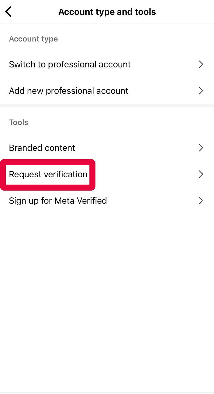 How to Apply for Instagram Verification?-step21
