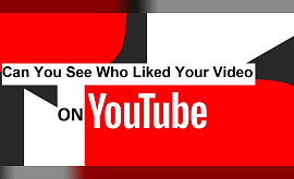 Can You See Who Liked Your Video on YouTube?